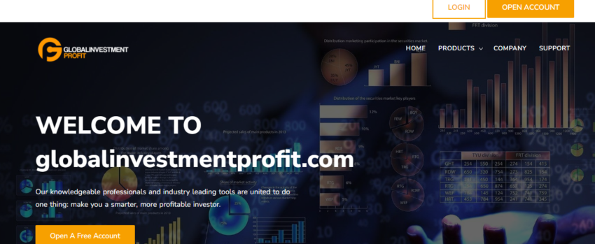 Globalinvestment Profit Review