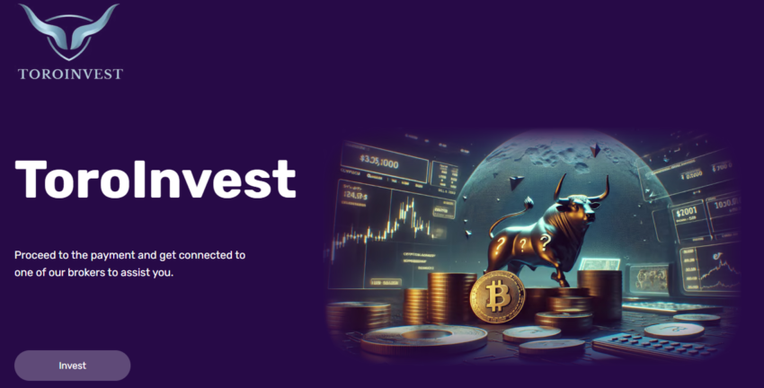 Tinvest Group Review